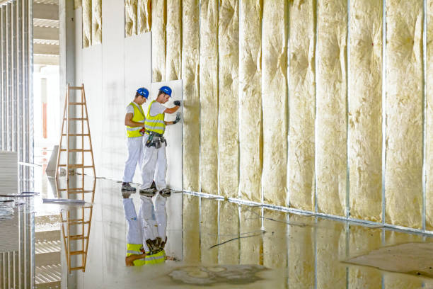 Best Insulation Maintenance and Repair in St Clair, MI